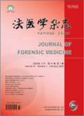 法医学杂志